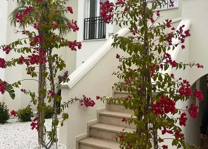 Apartman Casa Montgo *